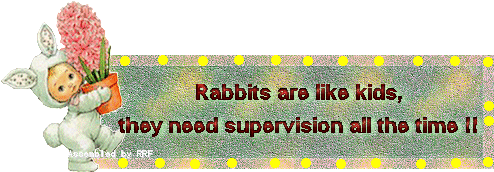 rbts_nbsp_kids_nbsp_supervsn-vi.gif