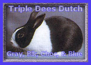 tripledeesdutch.jpg